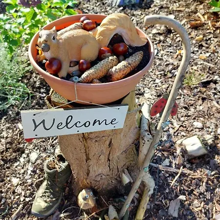 דירה Sweety Haus Sachsensteinblick באד סקסה