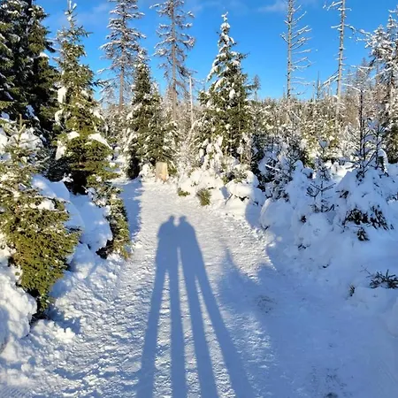 דירה Sweety Haus Sachsensteinblick *